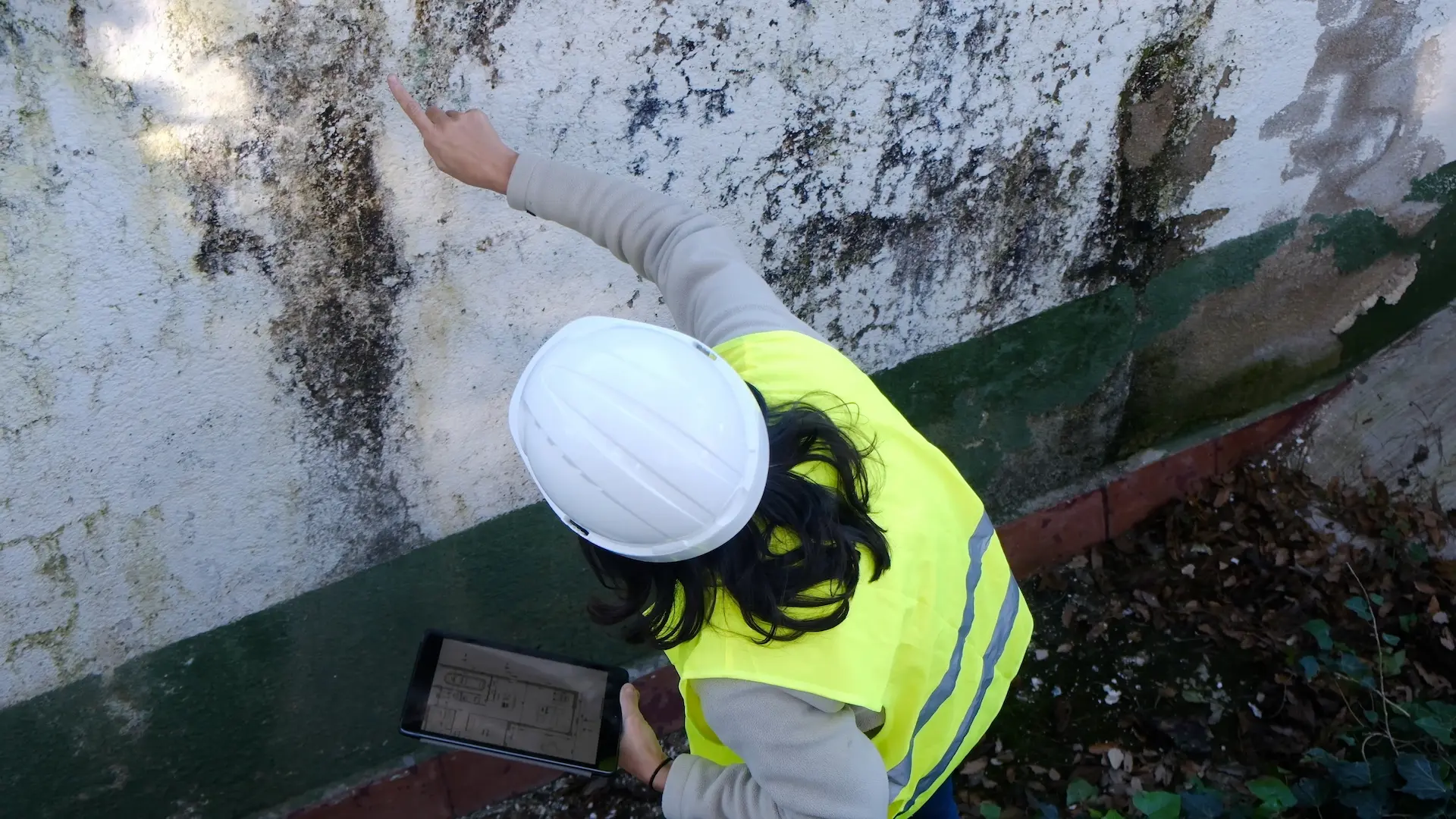 building inspector pointing out water damage on facade