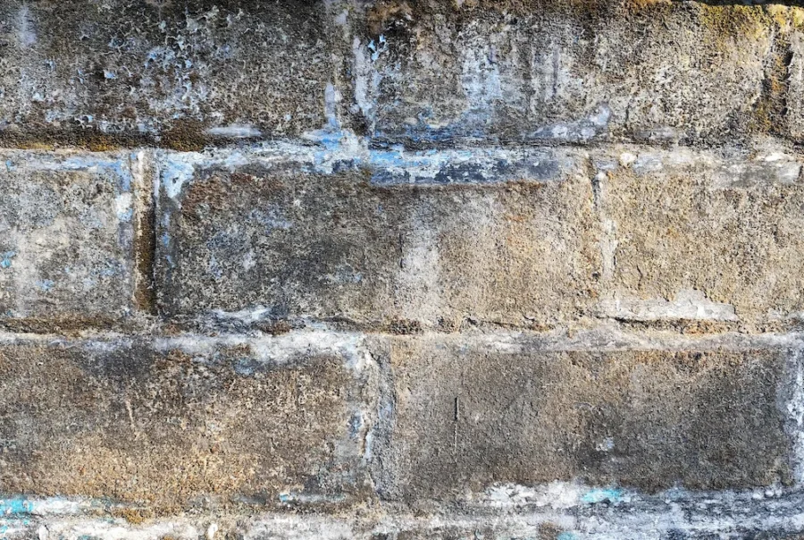 Efflorescence occurring on a brick wall