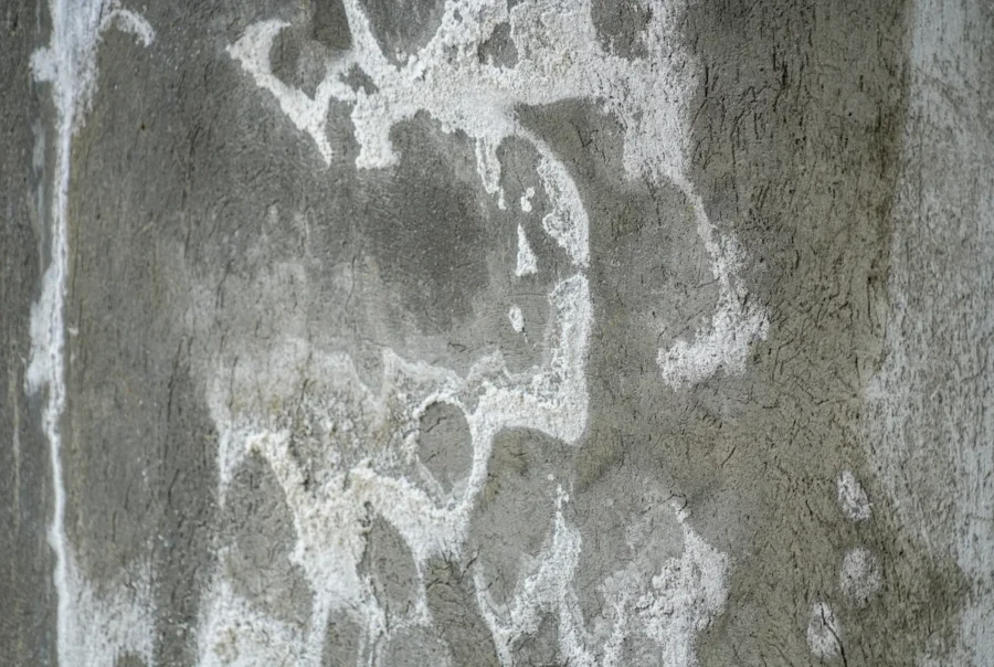 Efflorescence occurring on a cement foundation wall