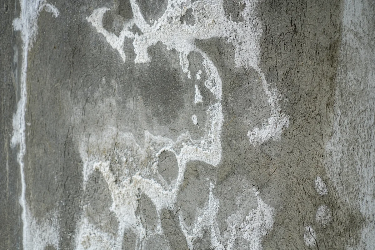 Efflorescence occurring on a cement foundation wall